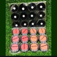 Set of 12